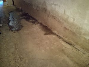 IMG_20170914_072848 (Large)